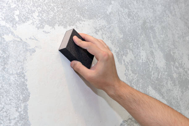  King Arthur Park, MT Mold Removal Pros