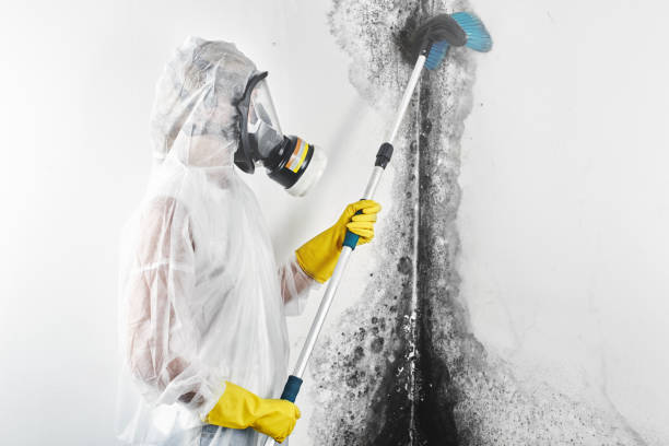 Best Air Quality Testing for Mold Spores  in King Arthur Park, MT