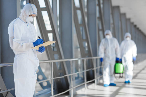 Best Dehumidification Services  in King Arthur Park, MT