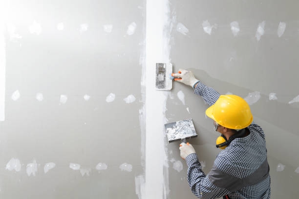 Forensic Mold Investigation in King Arthur Park, MT