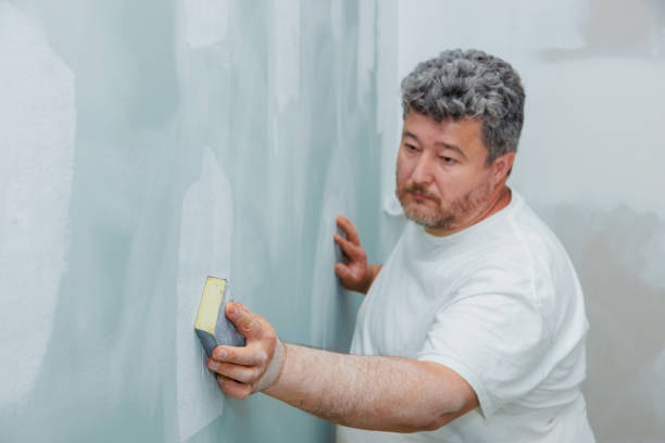 Trusted King Arthur Park, MT Mold Removal Experts